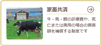 家畜共済