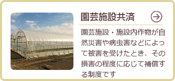 園芸施設共済