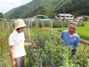 花の咲き具合を確認する田畑さん㊨と安部主査農業普及員